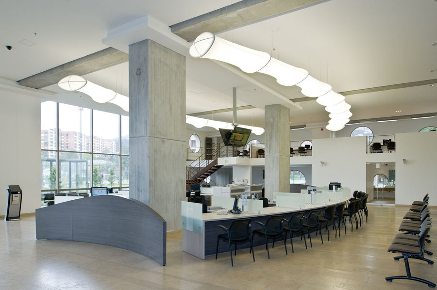 Universidad del Bosque