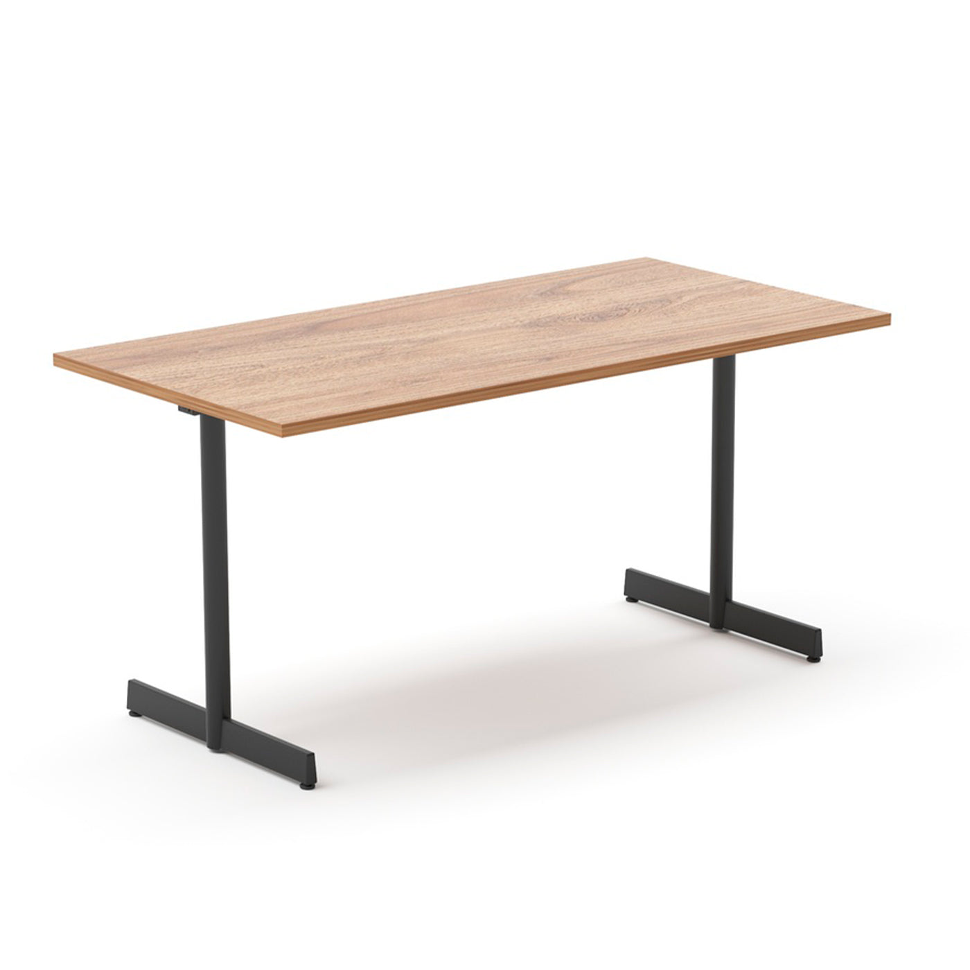 Mesa Lizard rectangular